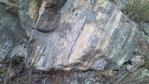 Гигантские зелёные валуны для ландшафтного дизайна весом более 5 тонн купить в Пласте